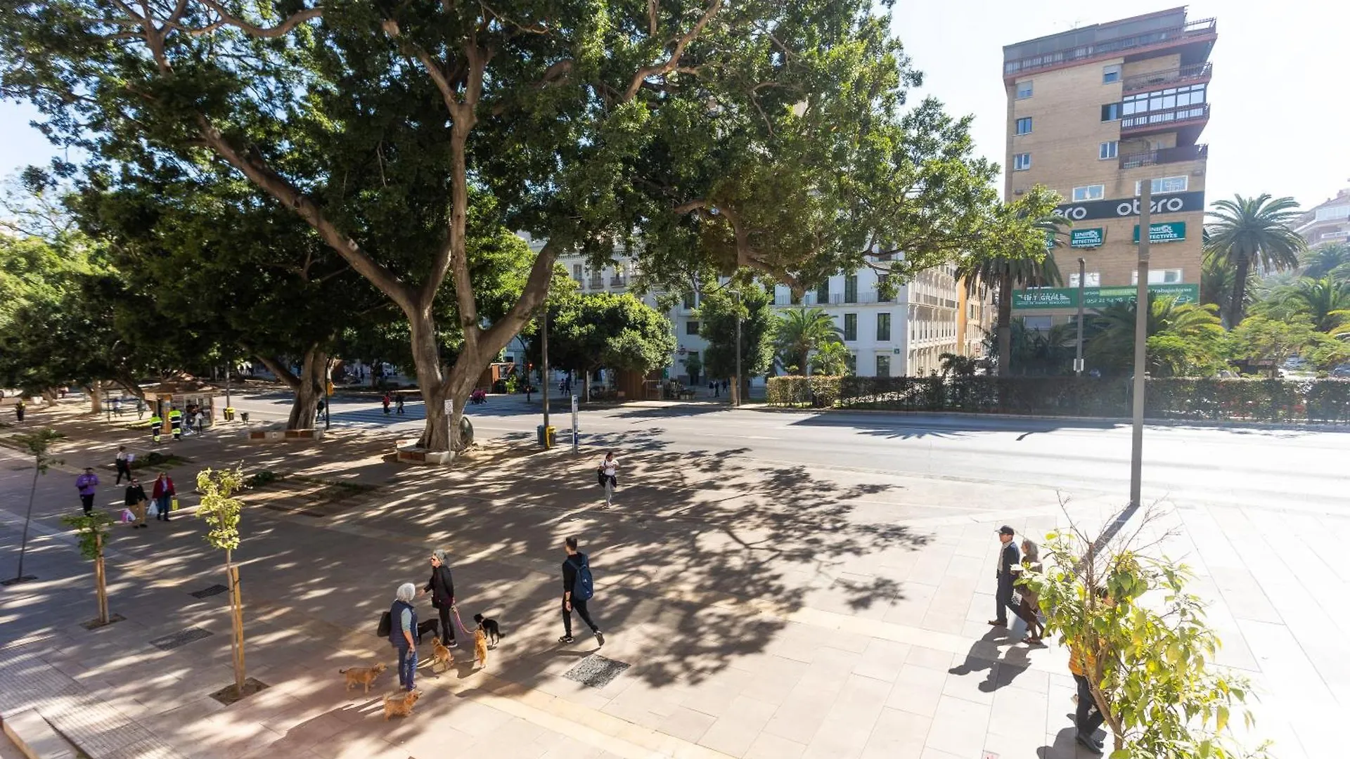 La Casa De La Alameda Lägenhet Málaga